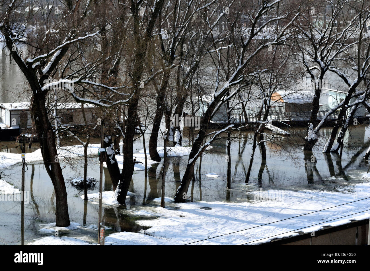 Il fiume Tisza bank presto inondazioni Szeged Ungheria Paesi CEE Foto Stock