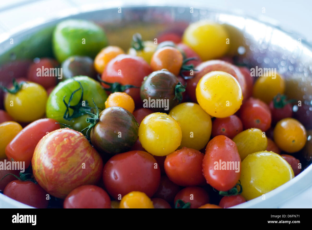 Pomodoro varietà miste Foto Stock