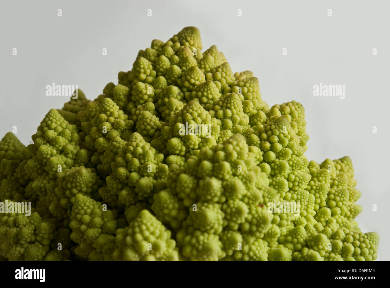 Romanesco broccoli Foto Stock