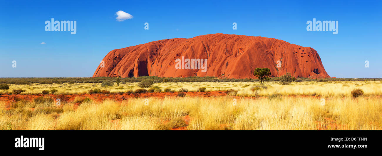 Paesaggi outback australiano pano panorama panoramic Uluru Ayers Rock nel Territorio del Nord Australia centrale Foto Stock
