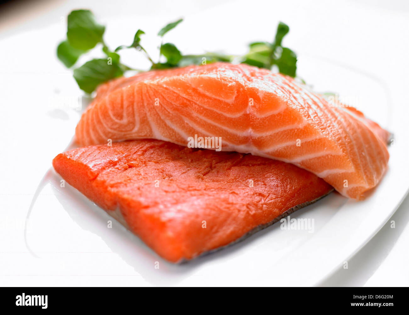 Salmon- il salmone di allevamento (ridotto) salmone selvatico - (più scuro) Foto Stock