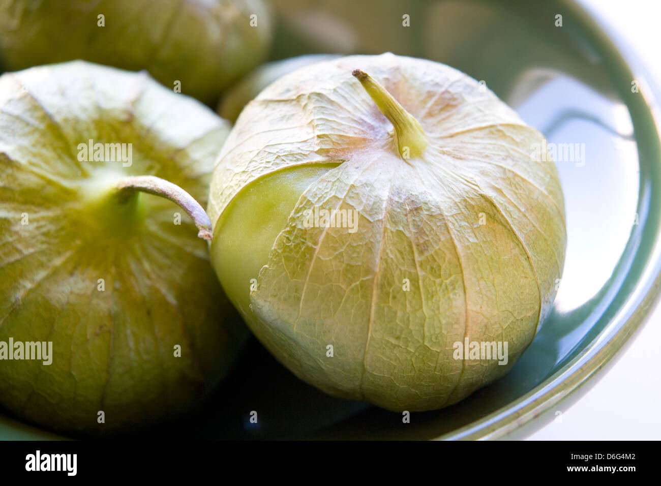Tomatillos freschi Foto Stock