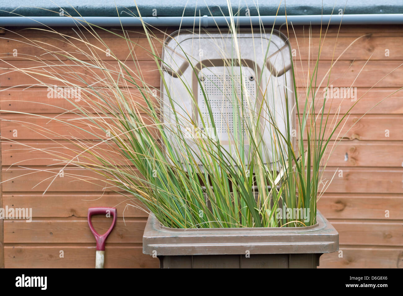 Scomparto di marrone pieno di scarti da giardino. Foto Stock