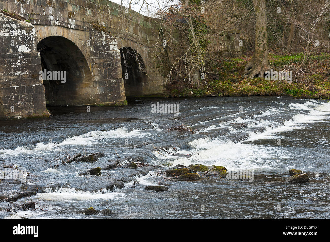 Il fiume Derwent scorre su Weir a ponte Leadmill vicino a Hathersage Derbyshire Peak District Inghilterra Regno Unito Regno Unito Foto Stock