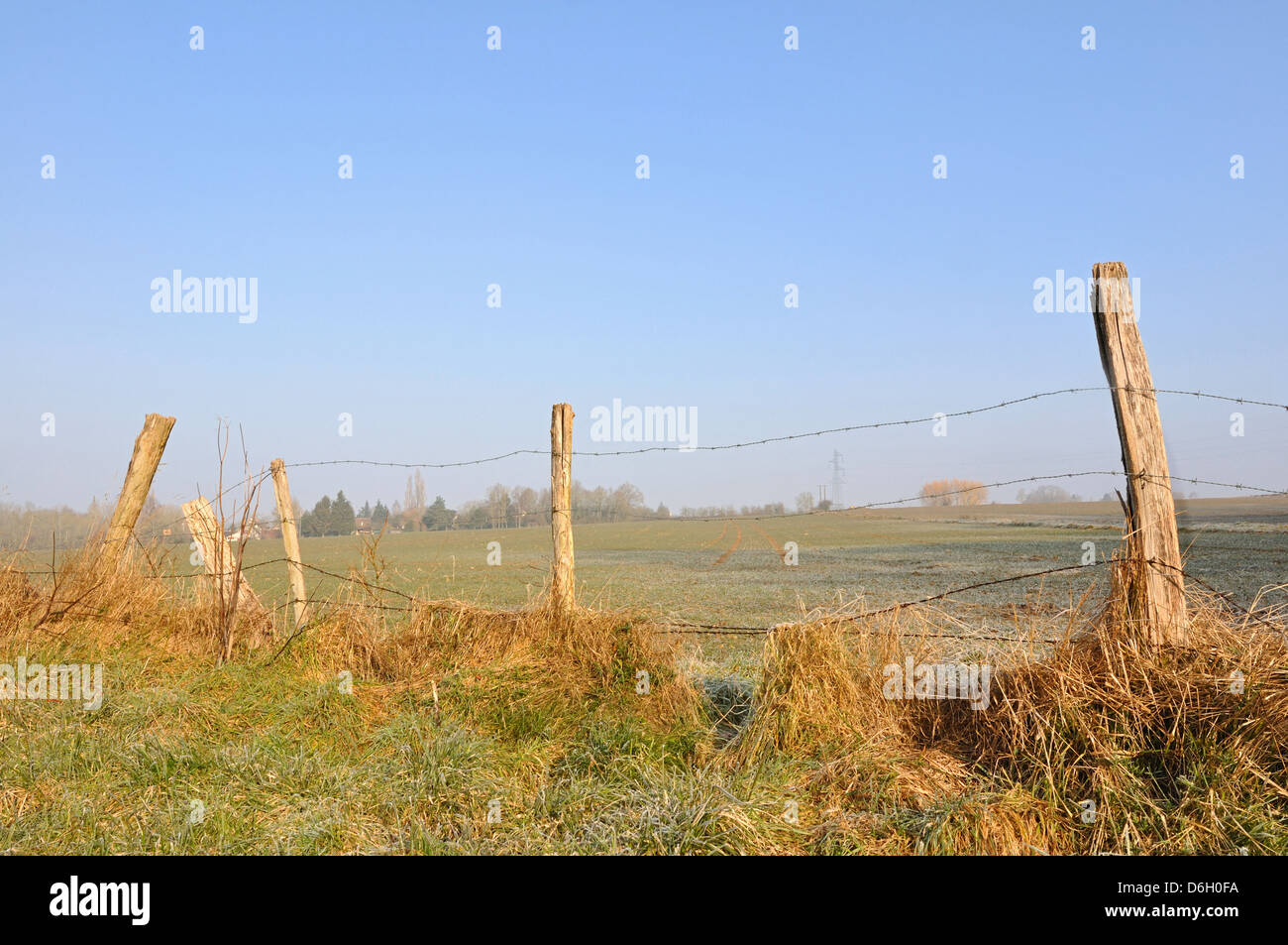 Picket Fence e filo spinato in un campo sotto un cielo blu Foto Stock