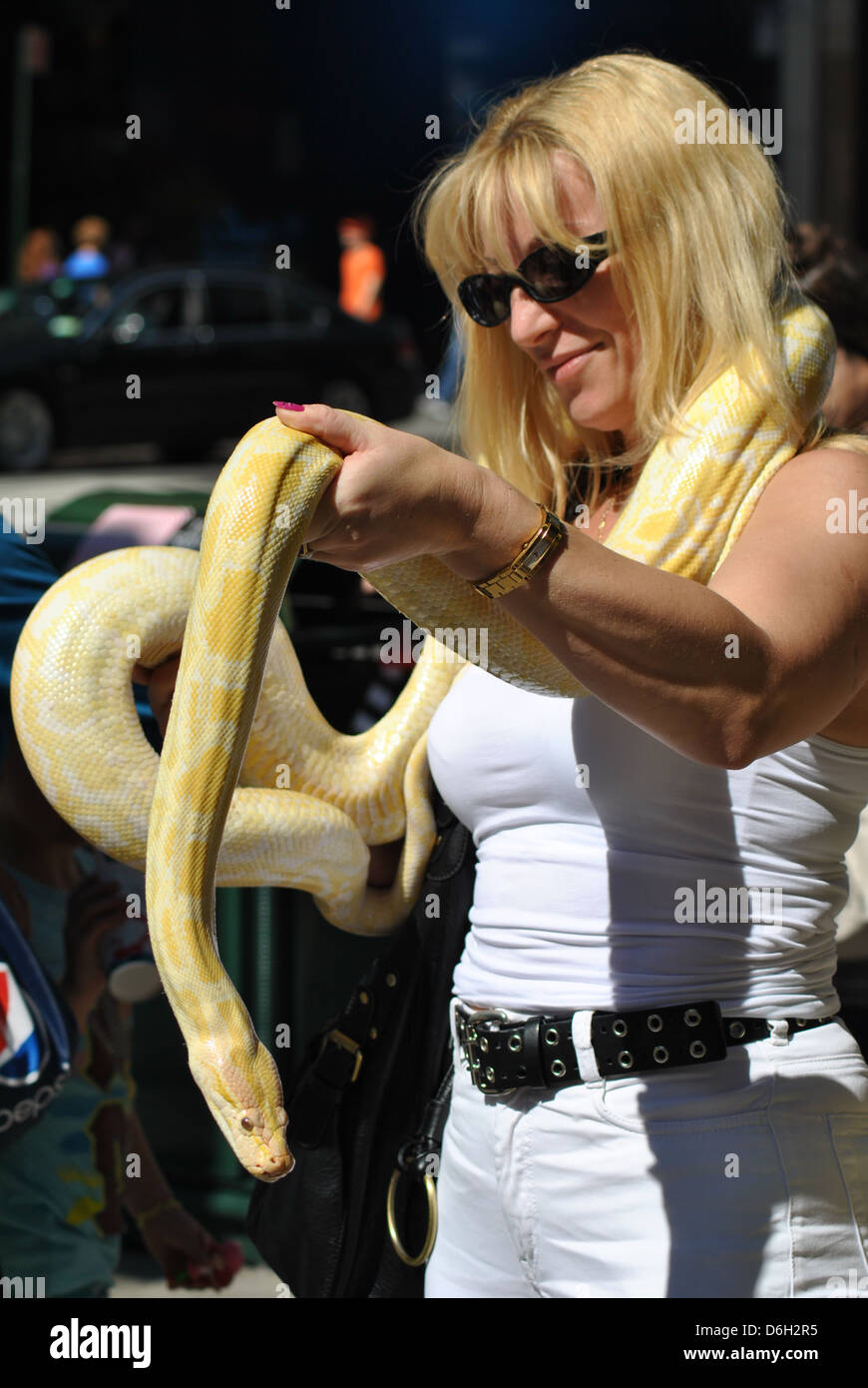 Gestore di serpente Foto Stock
