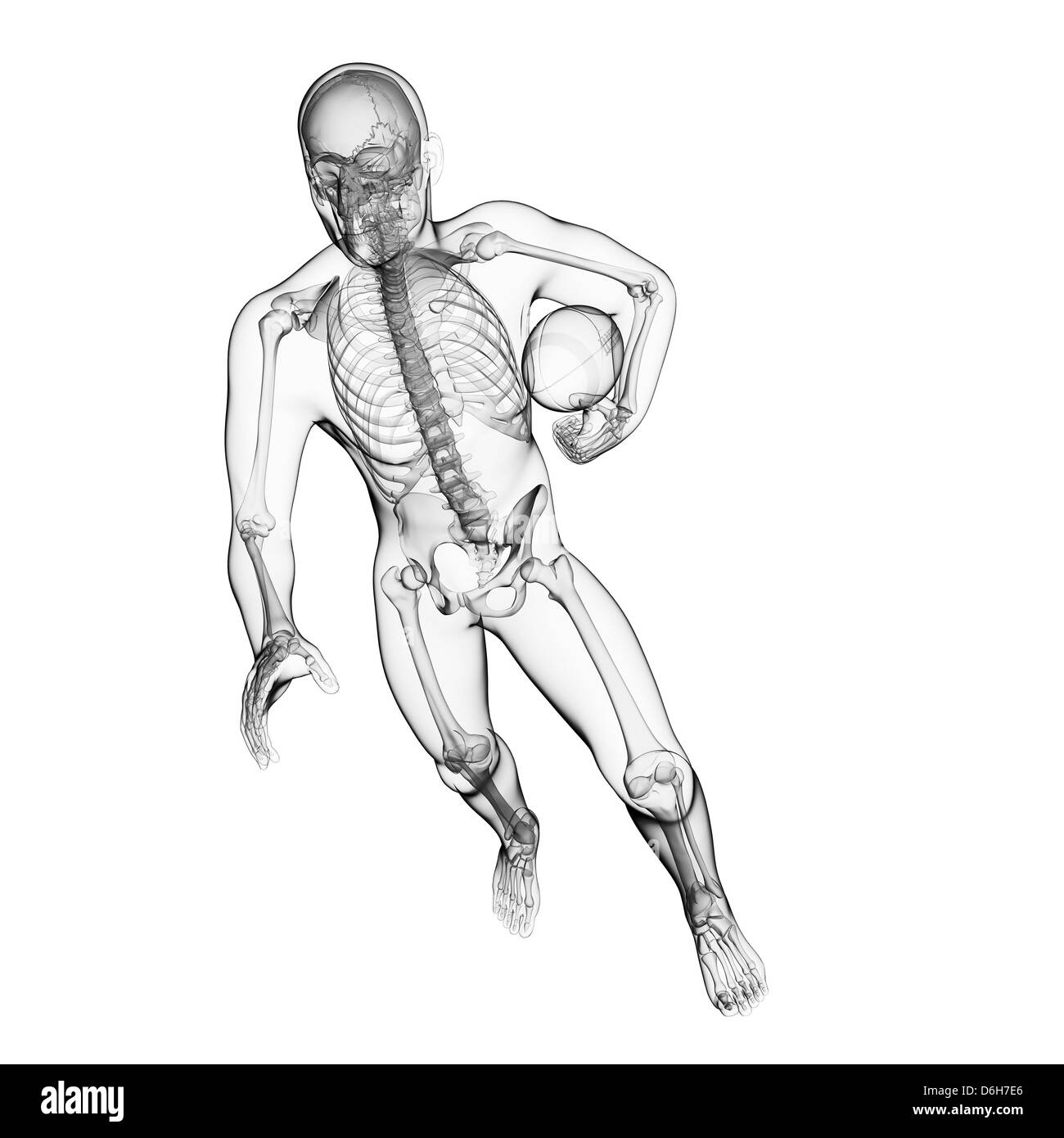 Giocatore di Rugby, artwork Foto Stock