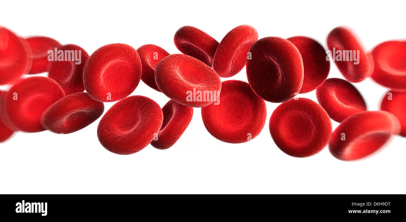 Le cellule rosse del sangue, artwork Foto Stock