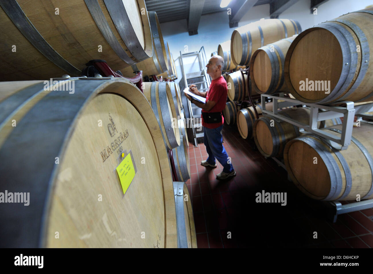 Produttore di vino controlli Vina Toscana di invecchiamento del vino in botti in Toscana, Italia Foto Stock