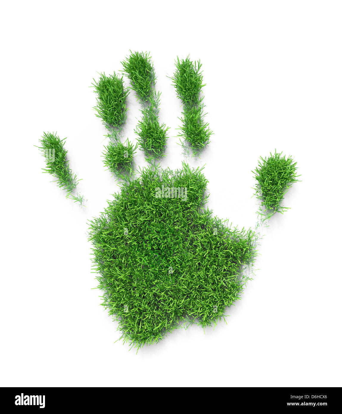 Erba palm print, artwork Foto Stock