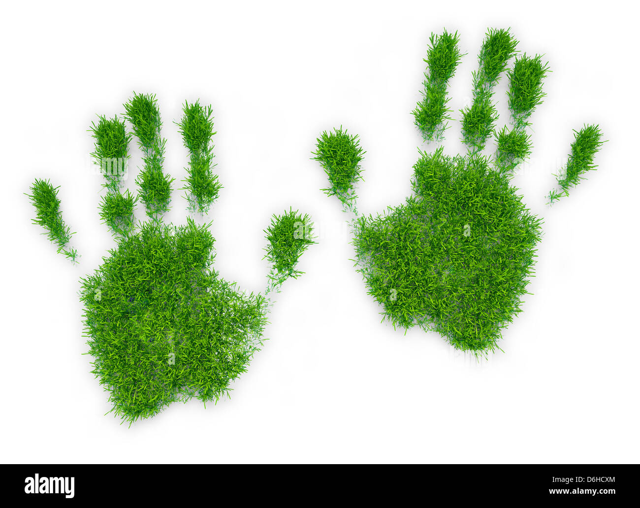 Erba stampe palm, artwork Foto Stock