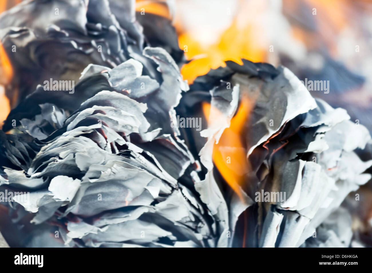 La masterizzazione di carta, potrebbe essere il denaro, che simboleggiano il credit crunch il mondo intero sta vivendo in questo momento Foto Stock