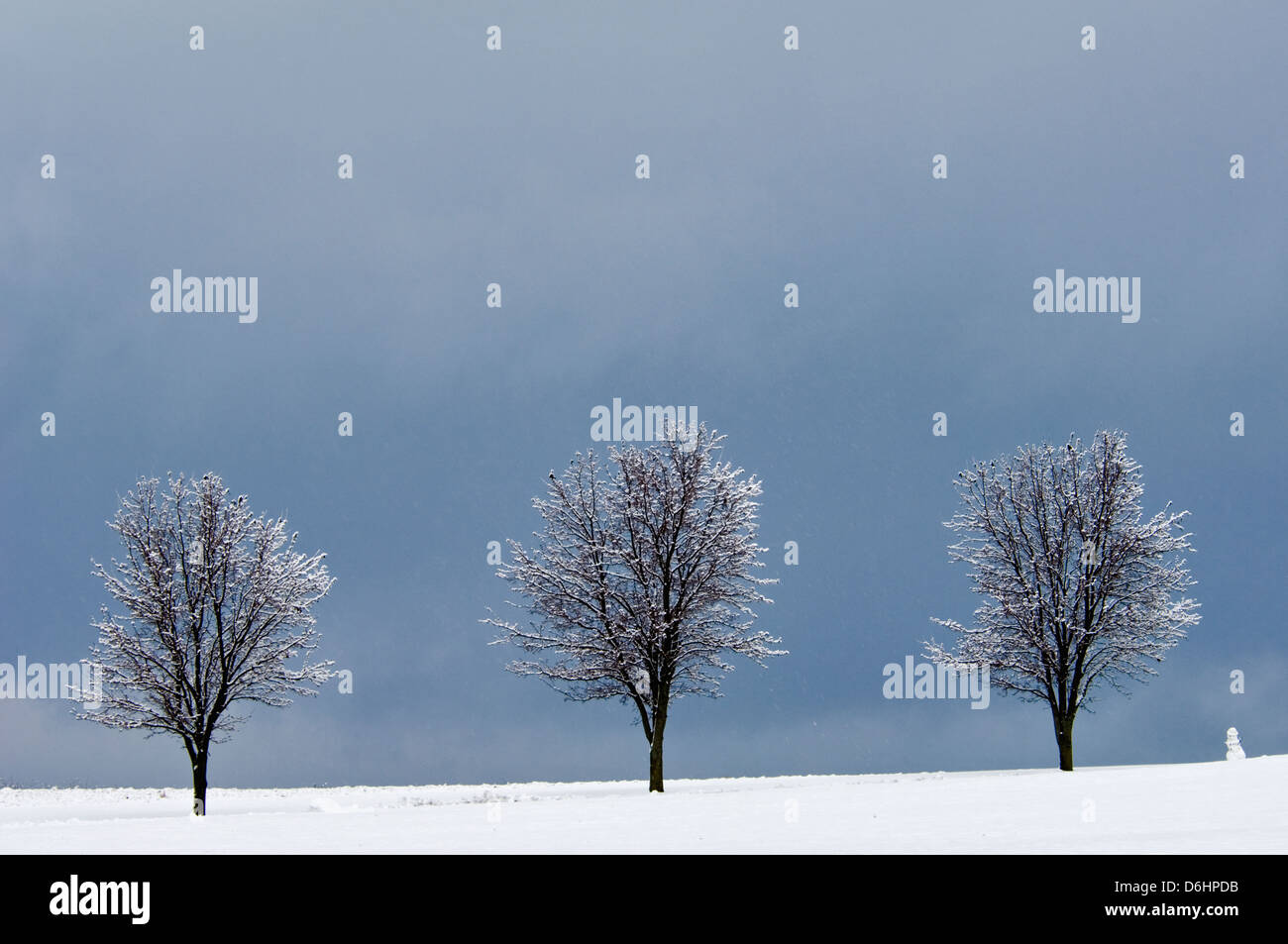 Tre Alberi, pupazzo di neve e la nuova neve contro il cielo in tempesta di Floyd County, Indiana Foto Stock