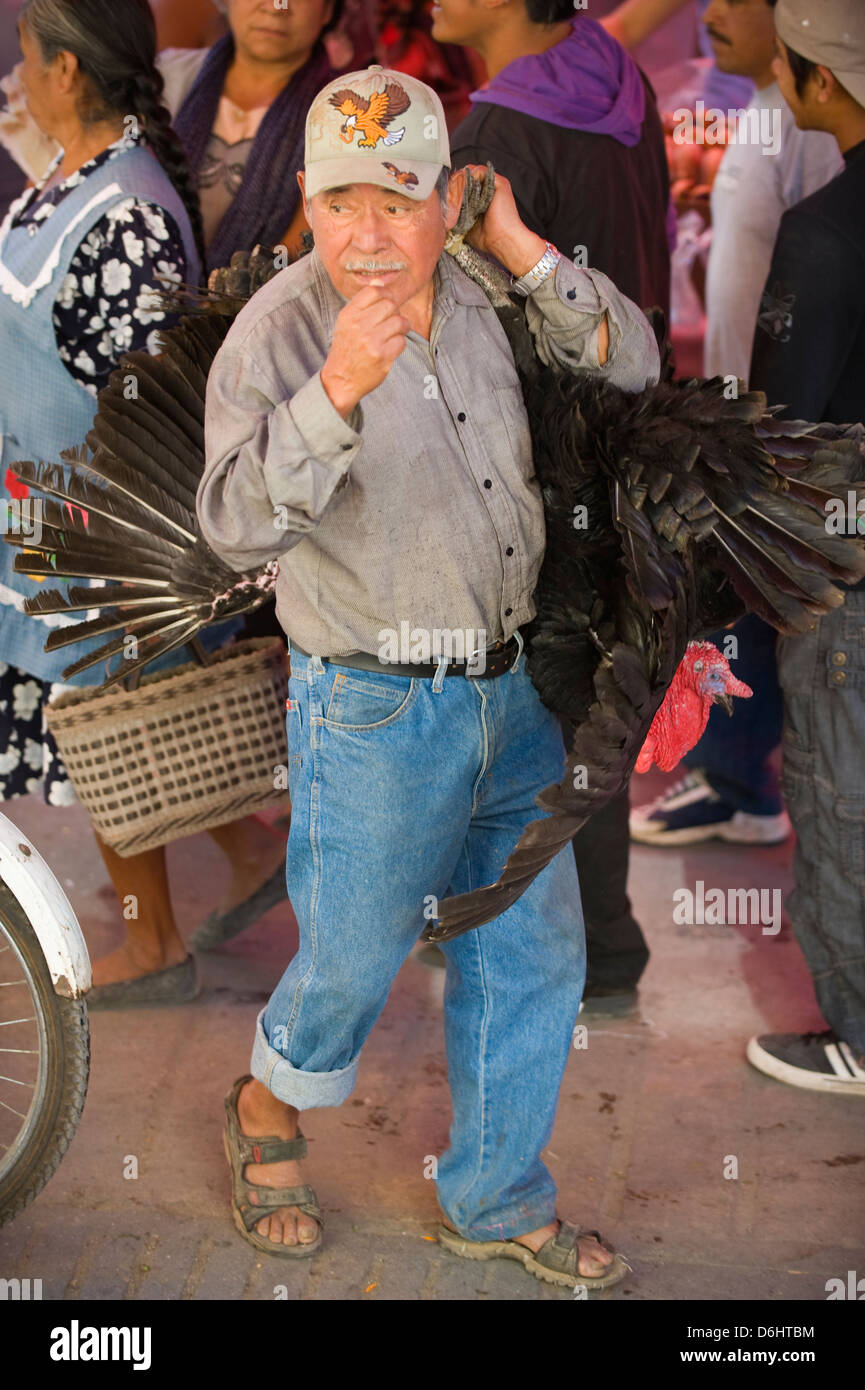Uomo con una Turchia, Tlacolula mercato domenicale, stato di Oaxaca, Messico, America del Nord Foto Stock