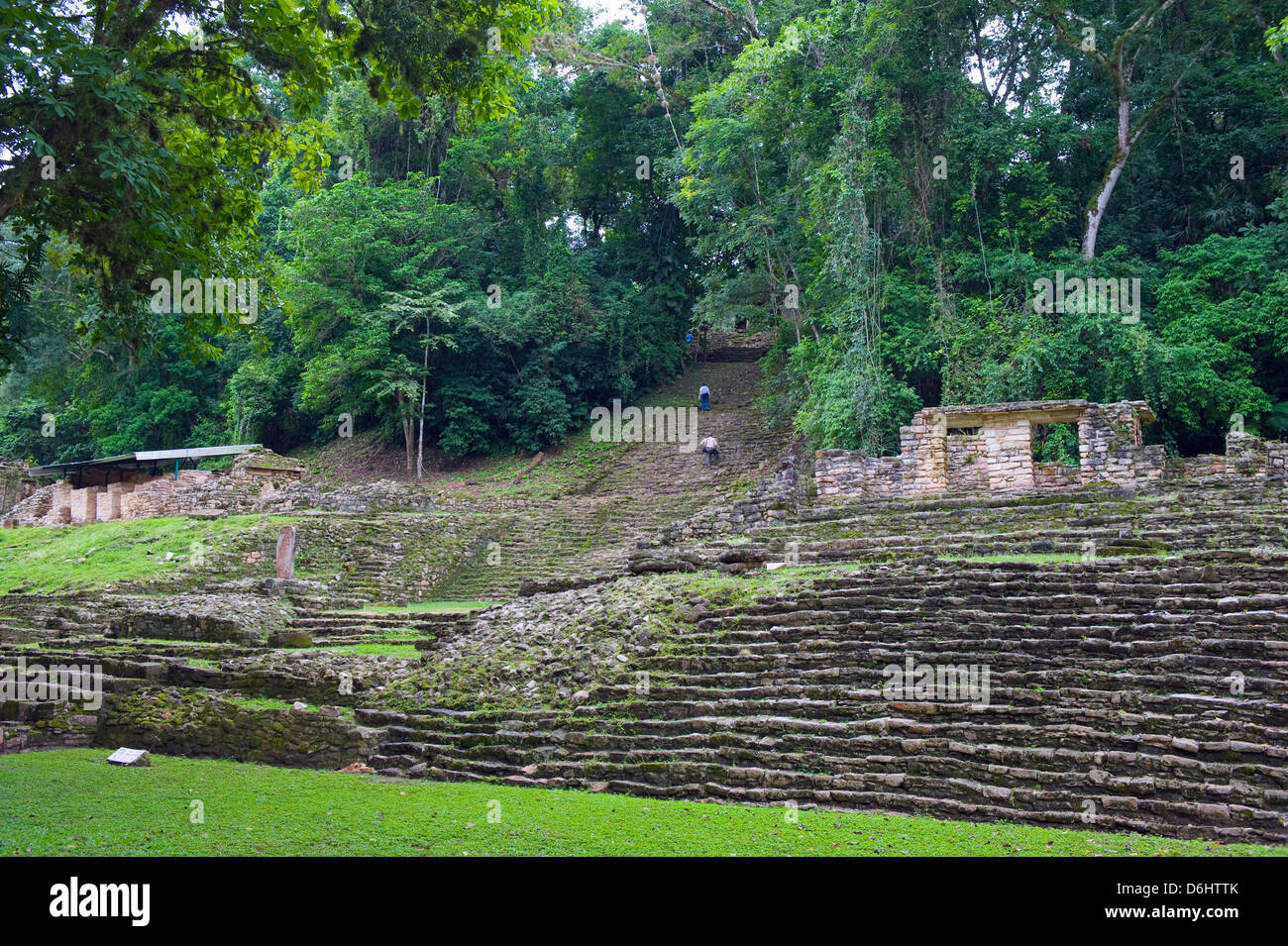 Passaggi a Yaxchilan rovine Maya, Chiapas, Messico, America del Nord Foto Stock