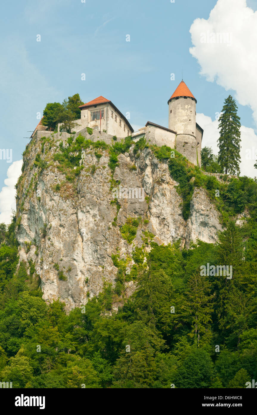 Il castello di Bled Bled, Slovenia Foto Stock