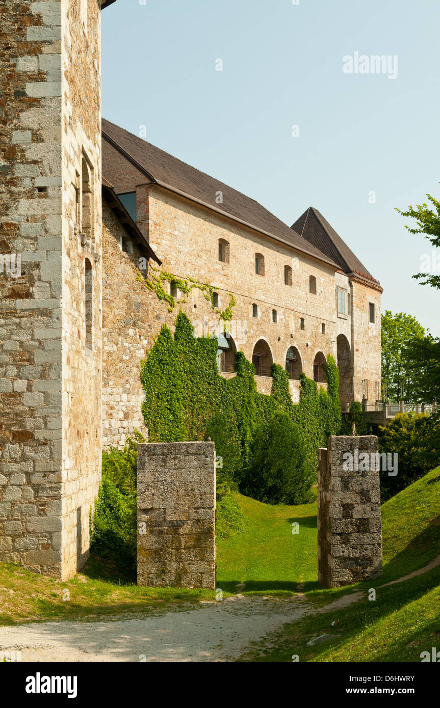 Castello di Ljubljana, Lubiana, Slovenia Foto Stock