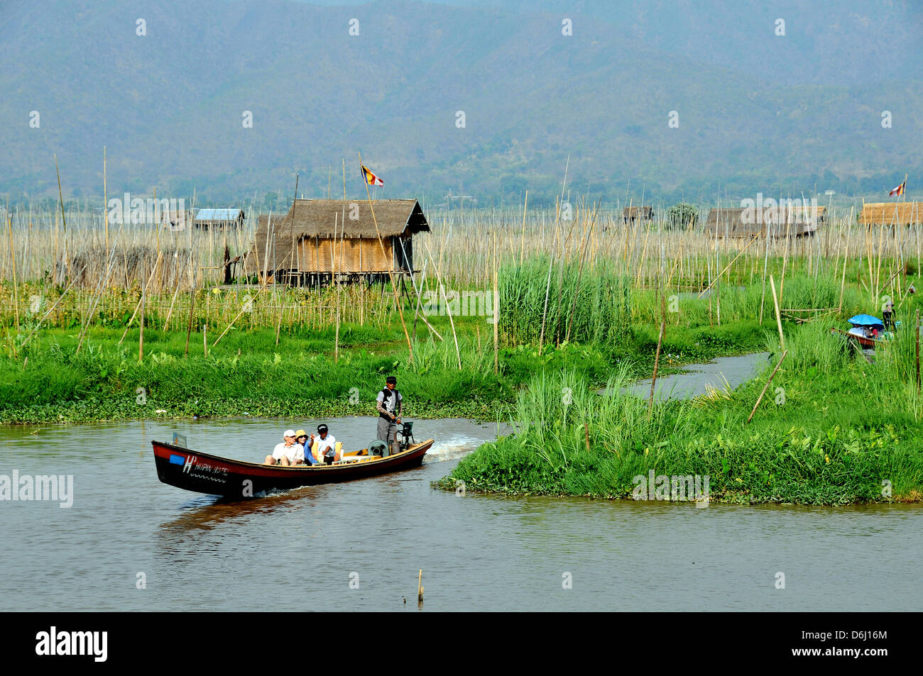 I giardini galleggianti Lago Inle Myanmar Foto Stock