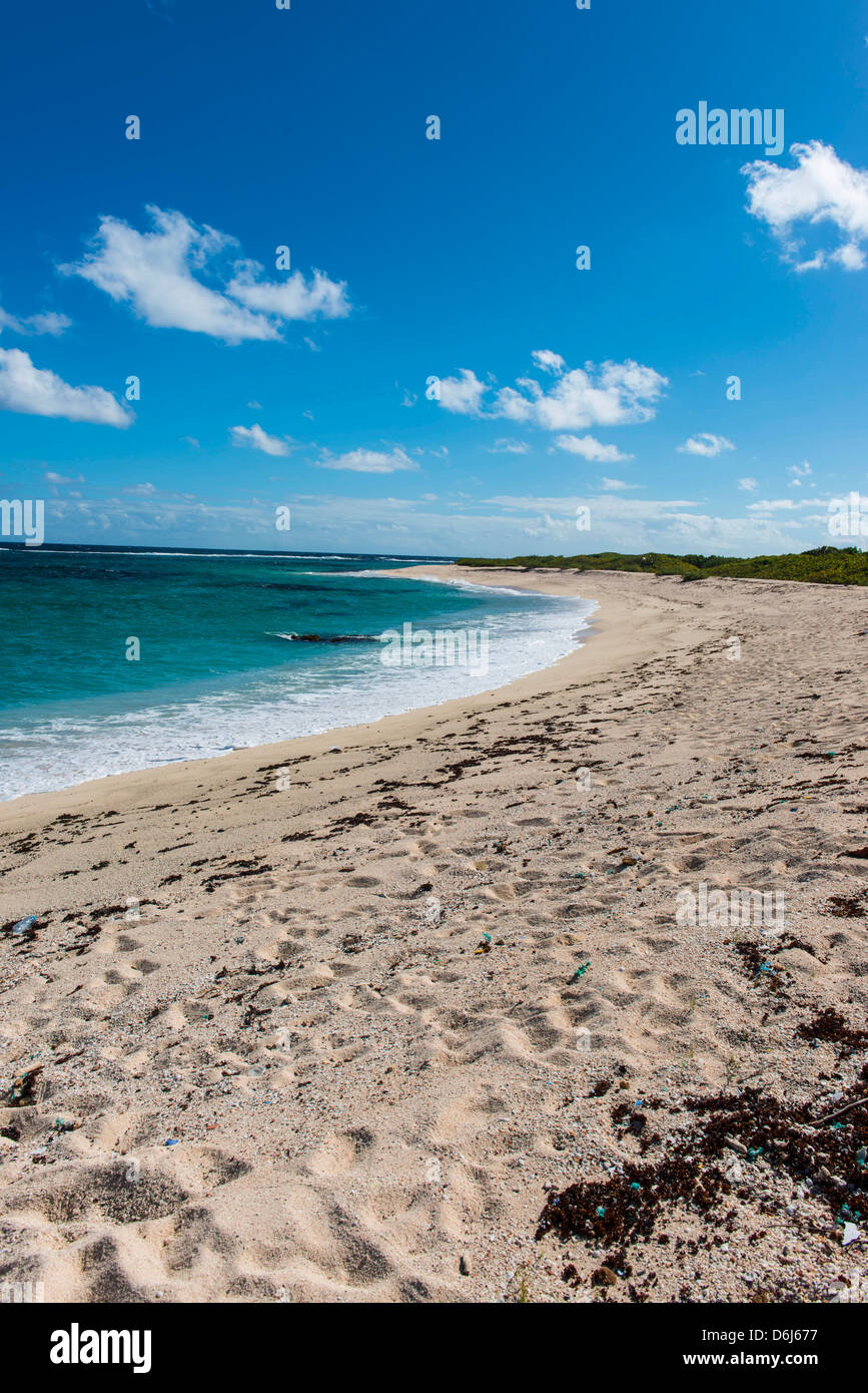 Telecomando di spiaggia di sabbia bianca di Barbuda, Antigua e Barbuda, West Indies, dei Caraibi e America centrale Foto Stock