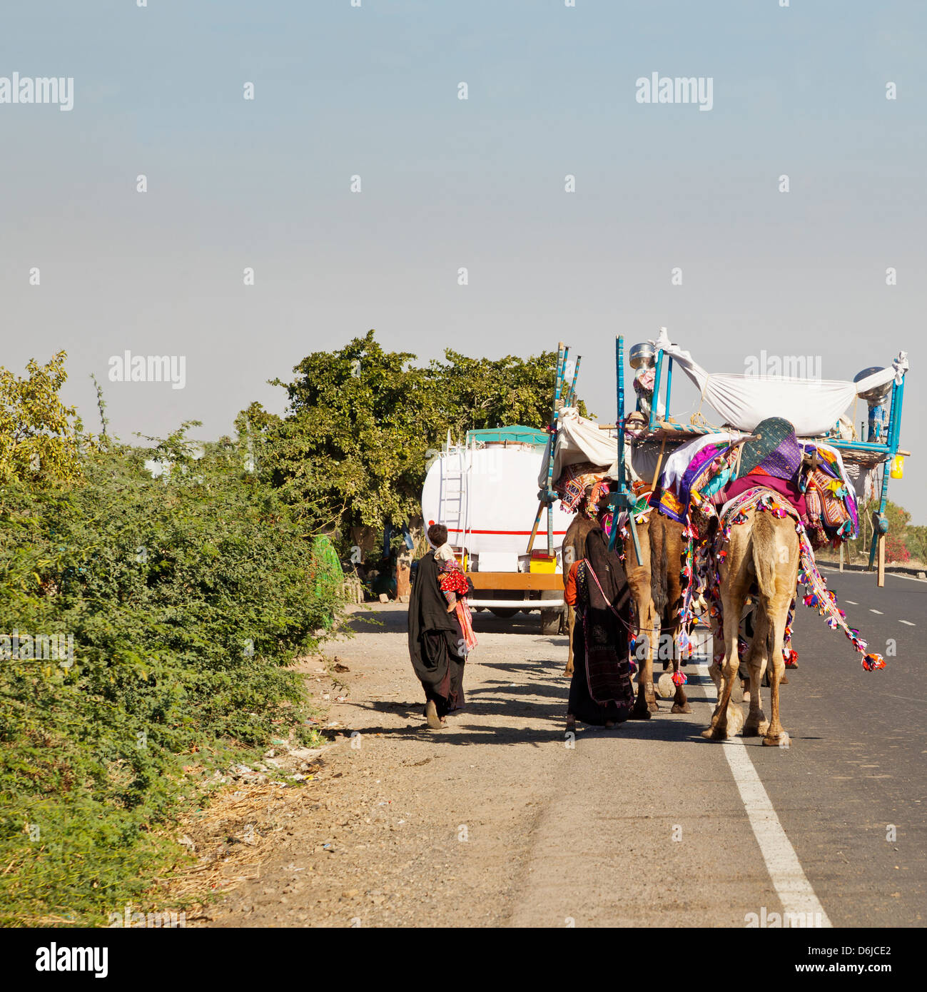 Formato quadrato di un cammello carovana treno rendendo il suo modo di Rajasthan lungo Ahmedabad Road Foto Stock