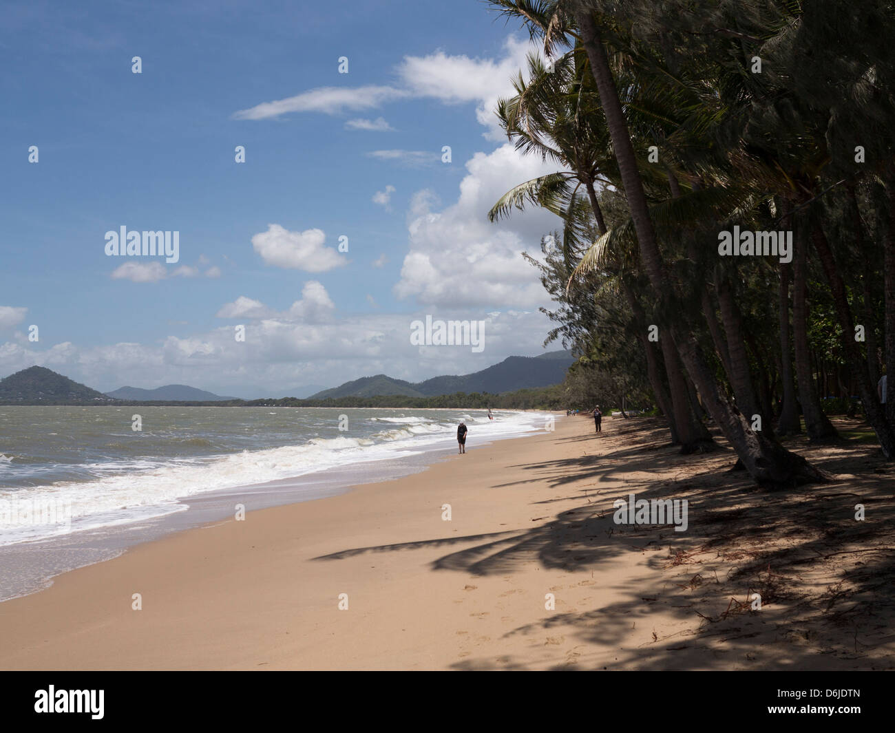 Spiaggia di Palm Cove, Cairns, North Queensland, Australia Pacific Foto Stock