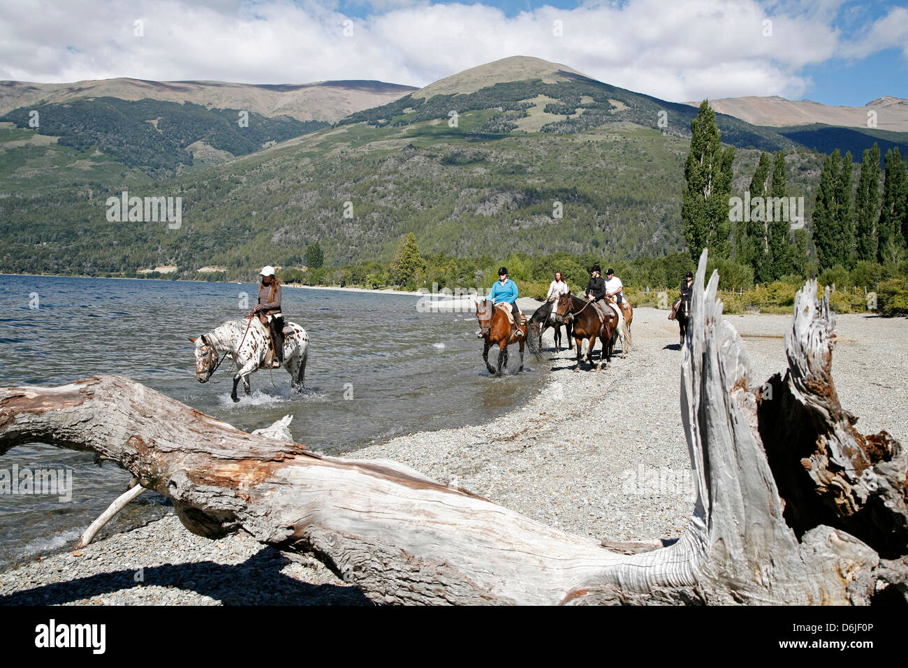 Passeggiate a cavallo da Guttierez lago nella estancia Peuma Hue, Patagonia, Argentina, Sud America Foto Stock