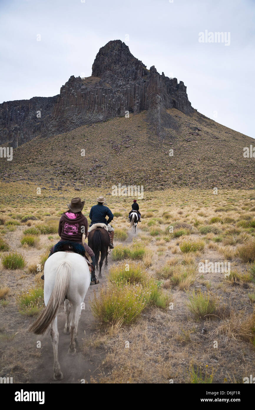 Equitazione, Patagonia, Argentina, Sud America Foto Stock