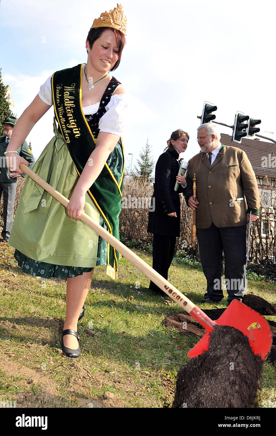 Baden-Wuerttemberg's New Forest Regina Marina Gottlieb badili terra per piantare un albero in Nagold, Germania, 21 marzo 2012. La terza Foresta Regina rappresenterà la silvicoltura e le industrie del legno e sarà l ambasciatore di interesse forestale gruppi nello stato. Foto: Jan-Philipp Strobel Foto Stock