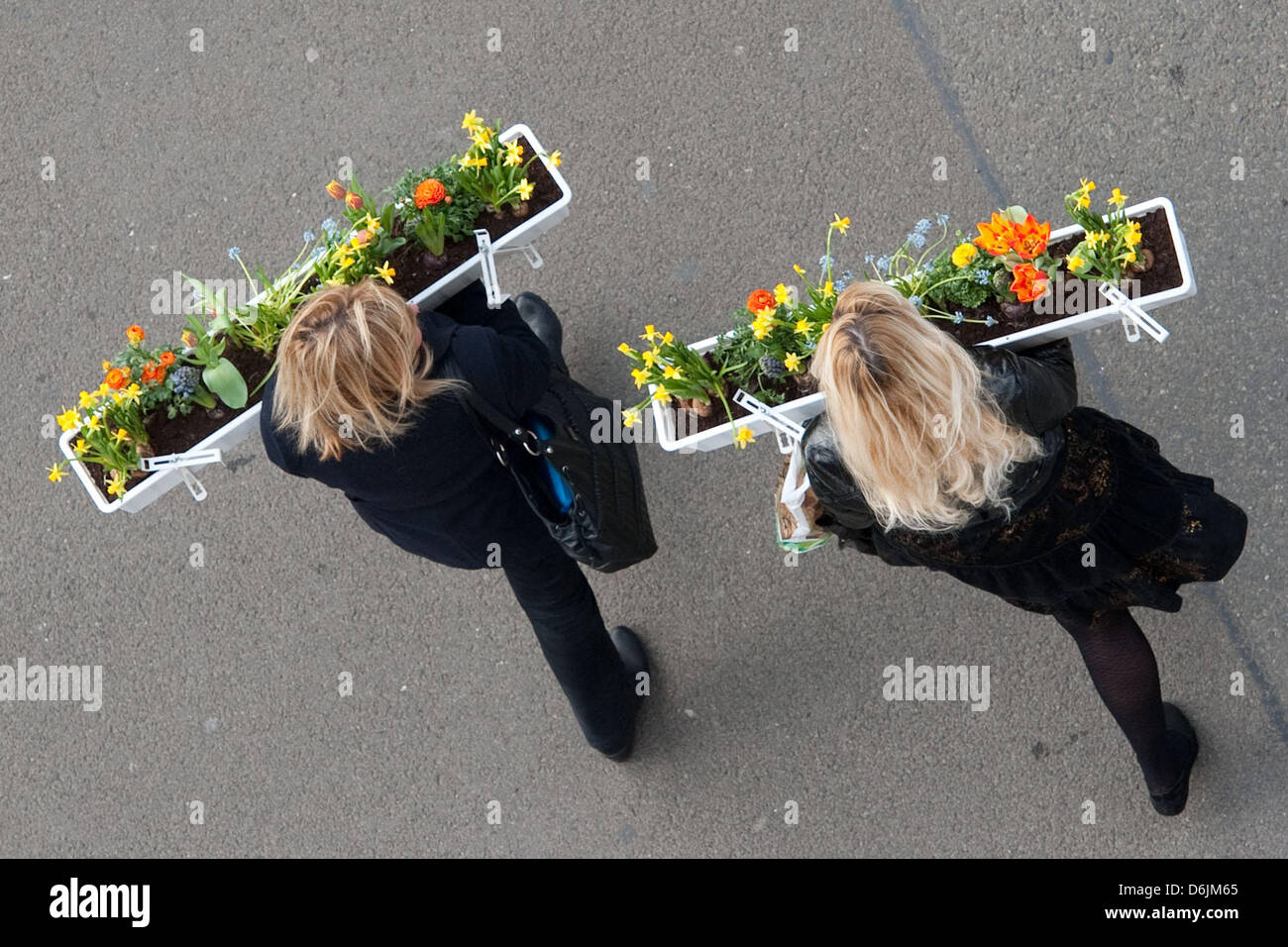 Due donne portano lontano fioriere riempito con colorati fiori di primavera che hanno ricevuto come presente da un garage per il parcheggio a Berlino, Germania, 20 marzo 2012. Più di 200 fioriere sono state date a passanti per creare fassades colorate e balconi a Berlino. Foto: Robert Schlesinger Foto Stock
