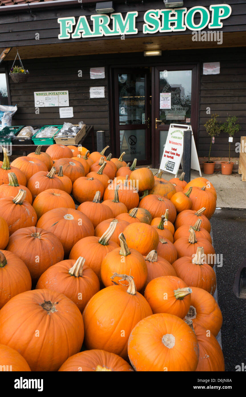 Un mucchio di zucche per la vendita prima di Halloween al di fuori di una azienda agricola di Norfolk Shop. Foto Stock