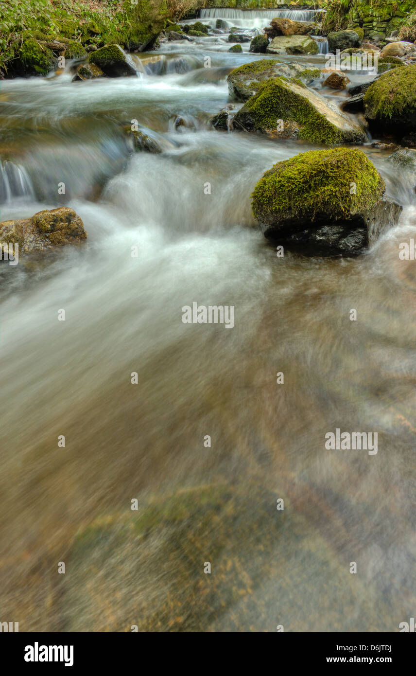 Pezzata di luce sulla swift acque del fiume Ashburn in Whiddon Scrubs su Dartmoor Foto Stock