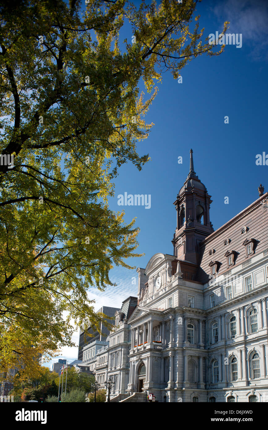 L' Hotel de ville circondate da fogliame di autunno, Montreal, Provincia di Quebec, Canada, America del Nord Foto Stock