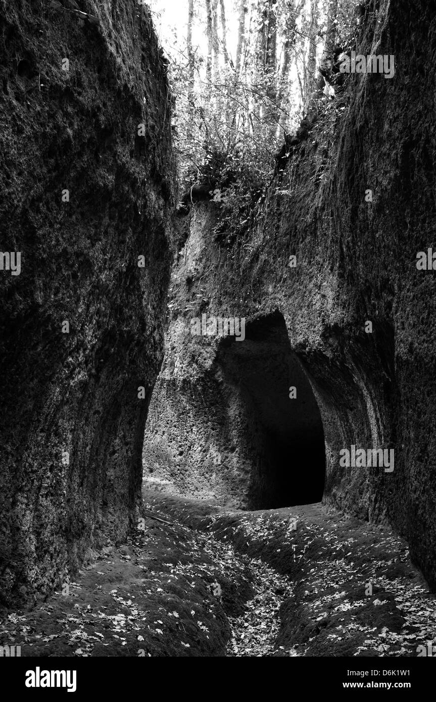 Vie etrusche grotta. Necropoli. Sorano, Italia. Foto Stock