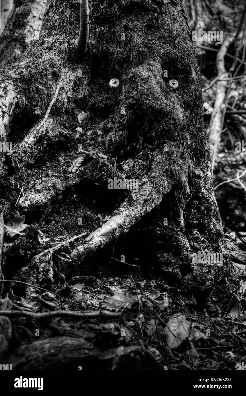 Albero con gli occhi umani Foto Stock