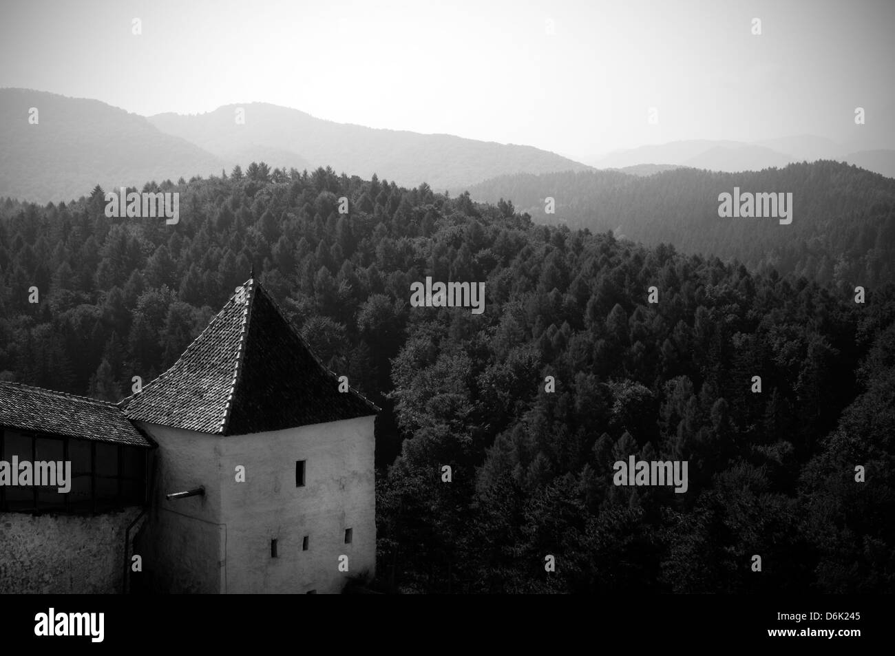 La Romania, Transilvania Rasnow forest Foto Stock