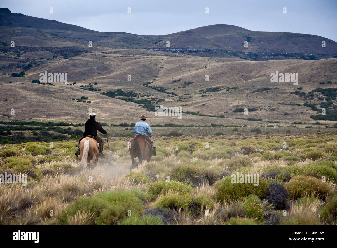 Gauchos a cavallo, Patagonia, Argentina, Sud America Foto Stock