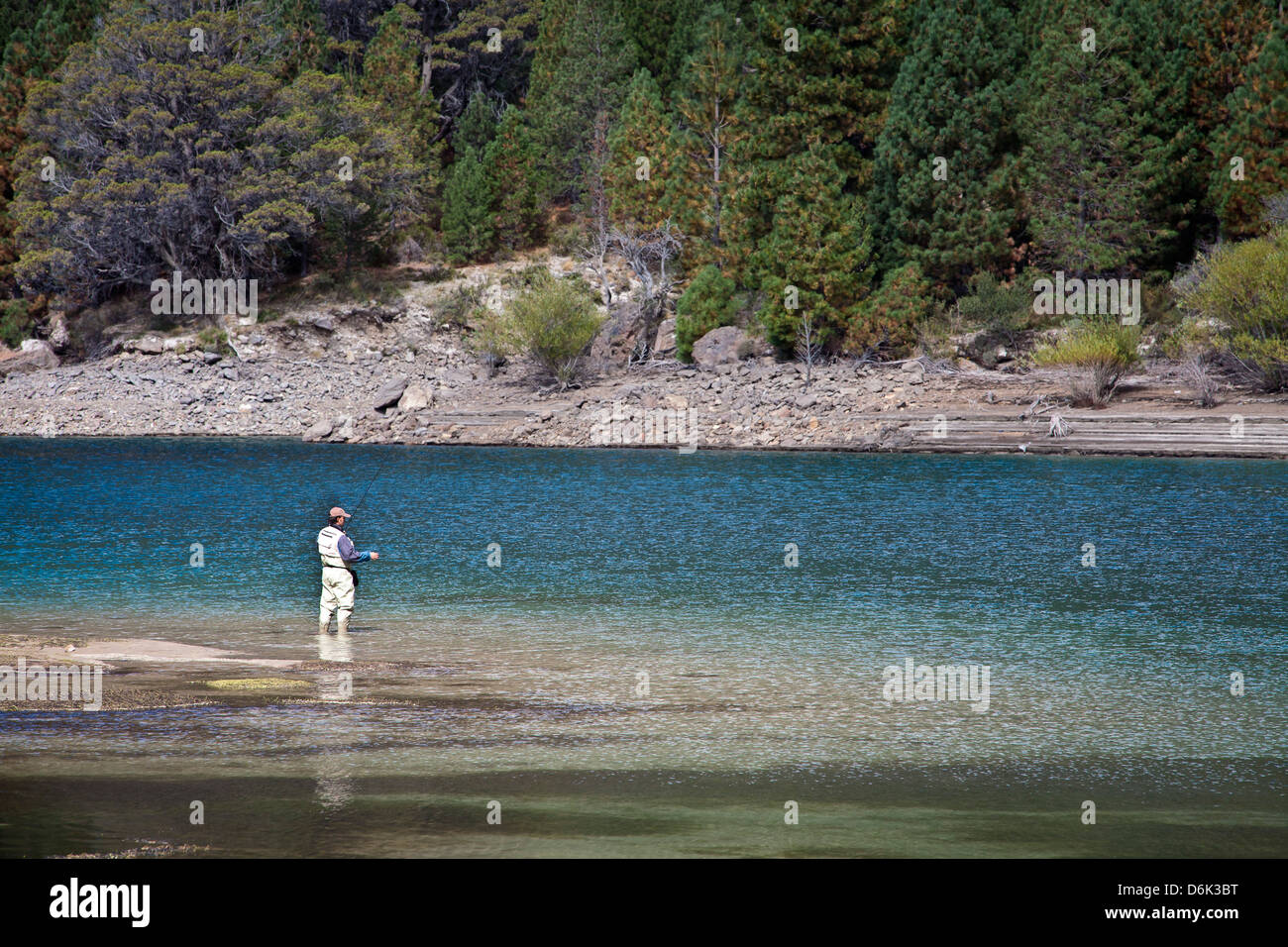 Pesca a mosca presso il fiume Limay nel distretto del lago, Patagonia, Argentina, Sud America Foto Stock