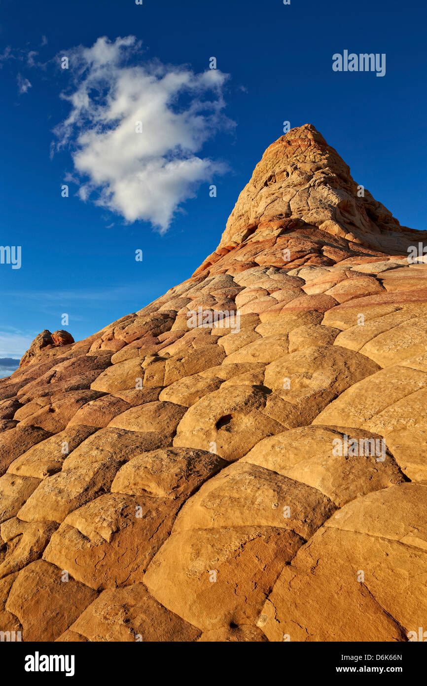 La collina di arenaria con texture del cervello e una nuvola, Coyote Buttes deserto Vermillion Cliffs National Monument, Arizona, Stati Uniti d'America Foto Stock
