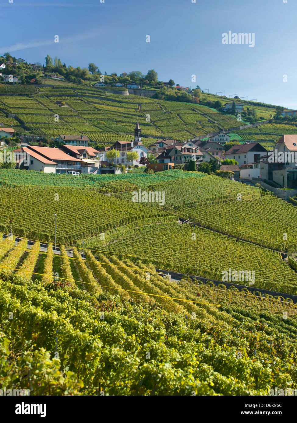 Lavaux vigneti terrazzati sul Lago di Ginevra, Montreux, Canton Vaud, Svizzera, Europa Foto Stock