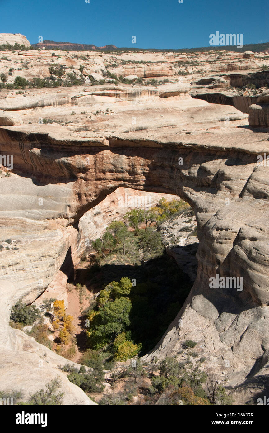 Ponti naturali monumento nazionale, Utah, Stati Uniti d'America, America del Nord Foto Stock