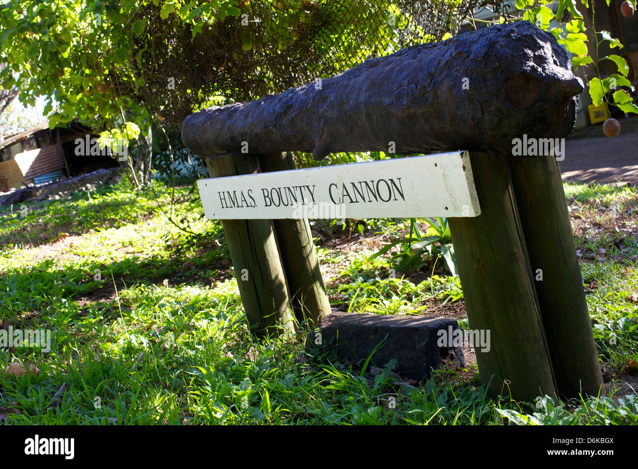 Il solo ri-scoperto il cannone dell'HMS Bounty, Pitcairn Island, Pacific Foto Stock