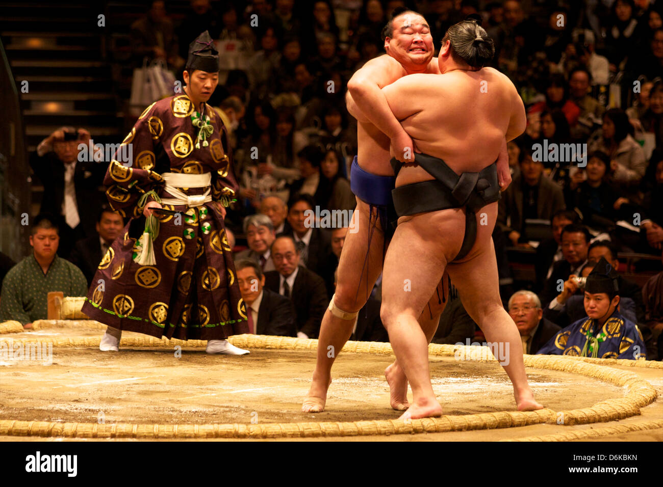 Due lottatori di sumo spingendo molto per mettere il loro avversario fuori del cerchio, sumo wrestling concorrenza, Tokyo, Giappone, Asia Foto Stock