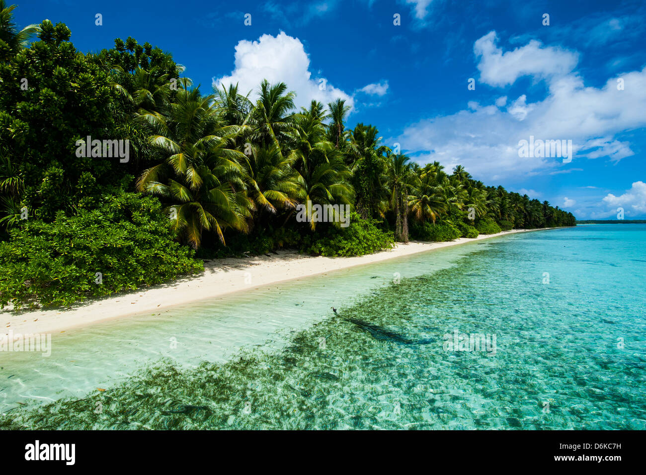 Il paradiso di spiaggia di sabbia bianca in acque turchesi su Ant Atoll, Pohnpei, Micronesia, Pacific Foto Stock