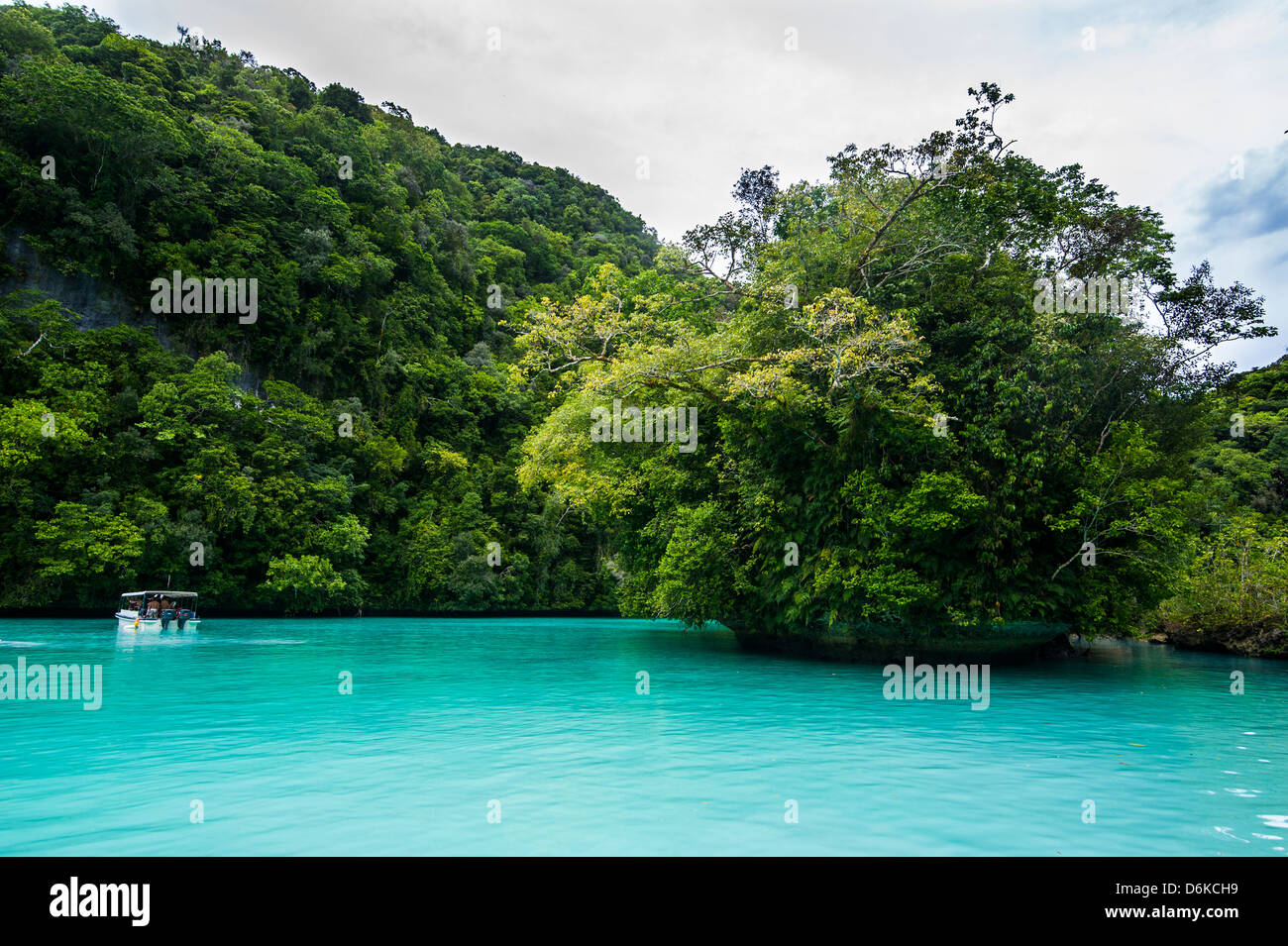 Acque turchesi in le Rock Islands, Palau, Pacifico centrale e del Pacifico Foto Stock