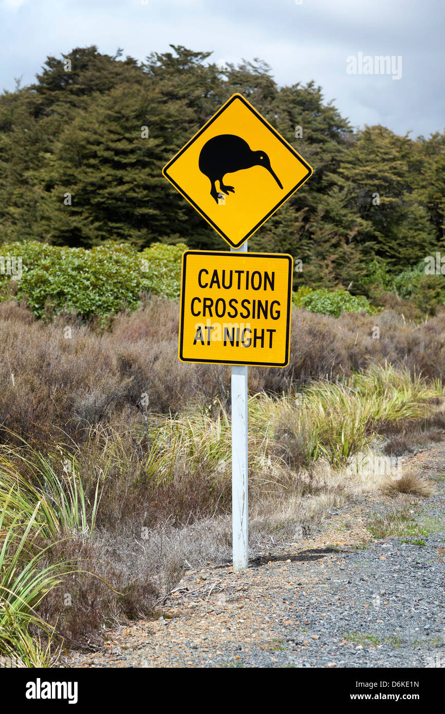 Kiwi sign in prossimità della strada, l'isola Settentrionale, Nuova Zelanda Foto Stock