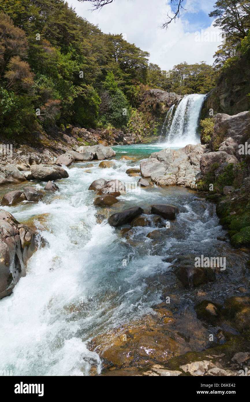 Taranaki Falls, Tongariro National Park, North Island, Nuova Zelanda Foto Stock