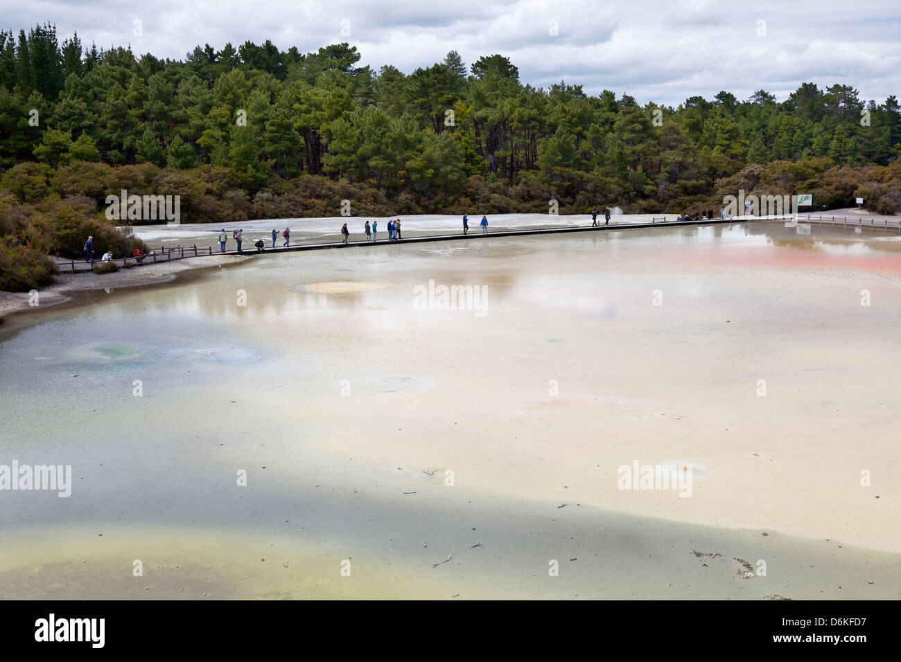 Attraversando la terrazza sul Boardwalk in Wai-O-Tapu riserva geotermica Rotorua, Nuova Zelanda Foto Stock