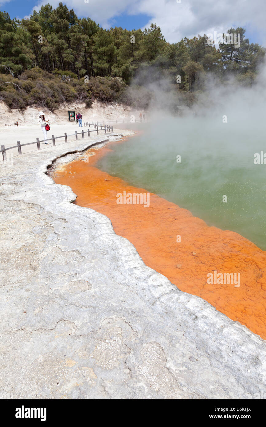 Il pool di champagne in Wai-O-Tapu riserva geotermica Rotorua, Nuova Zelanda Foto Stock