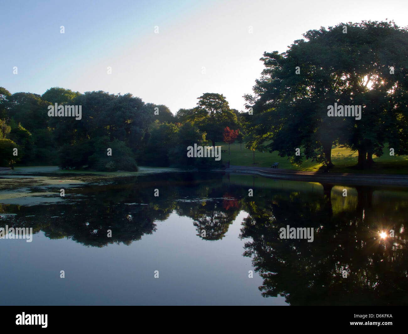 Lago nel parco, la mattina presto, Queen's Park, Brighton, Regno Unito Foto Stock
