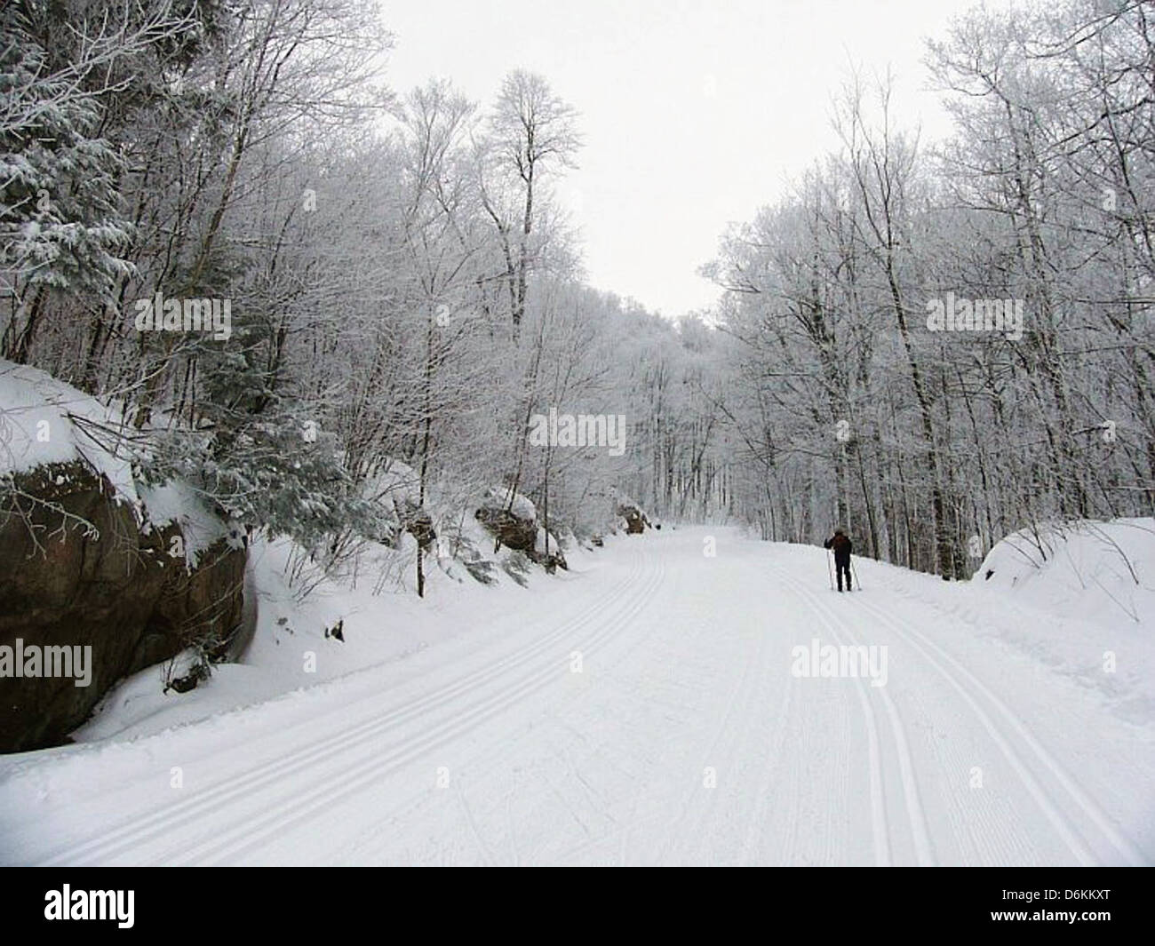 Uno sciatore che scivola lungo una pista innevata nel Gatineau Park, Canada. La fotografia cattura l'azione degli sport invernali e il paesaggio innevato di questa popolare area ricreativa all'aperto. Foto Stock